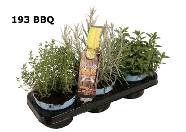 Krauter Grill 3-Pack