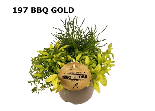 Krauter Trio Grill Mix Gelb
