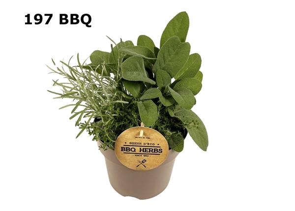 Krauter Trio Grill Mix 