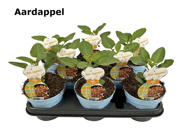 Kartoffeln