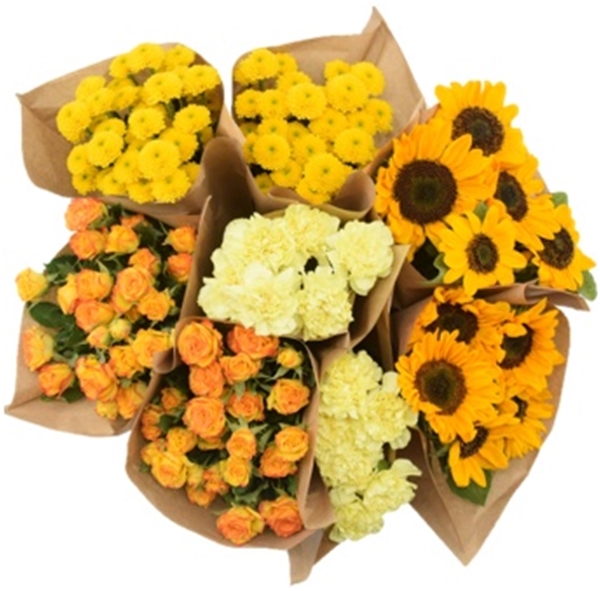 Monomix Yellow