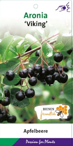 Aronia melanocarpa Viking Essbar
