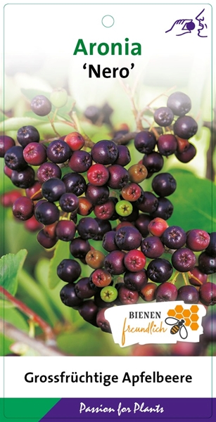 Aronia prunifolia Nero Essbar