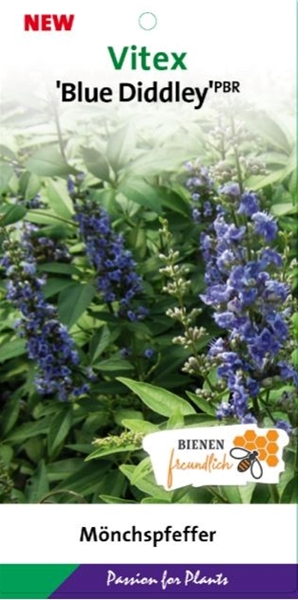 Vitex Blue Diddley