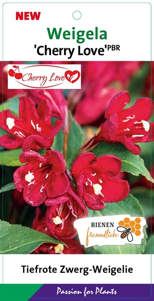 Weigela Cherry Love