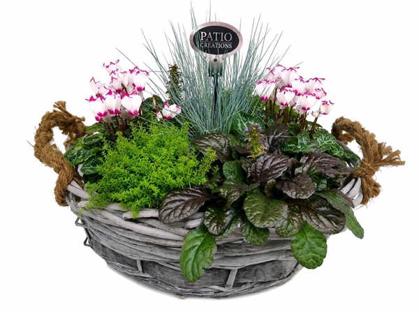 NJR614-602 Herbst Mix