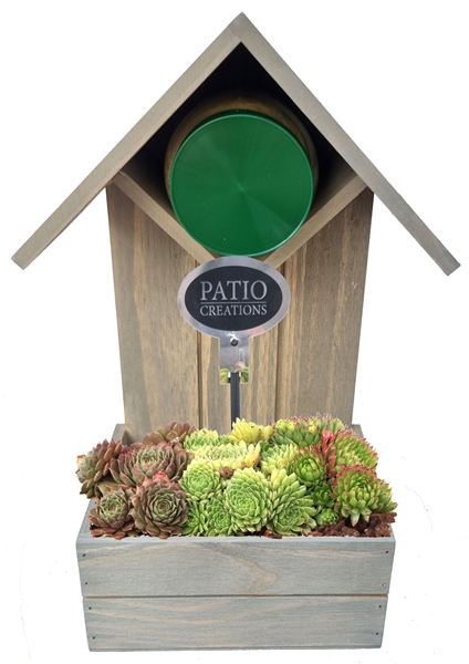 SE807-9001 Sempervivum plantenbak pindakaasvoeder