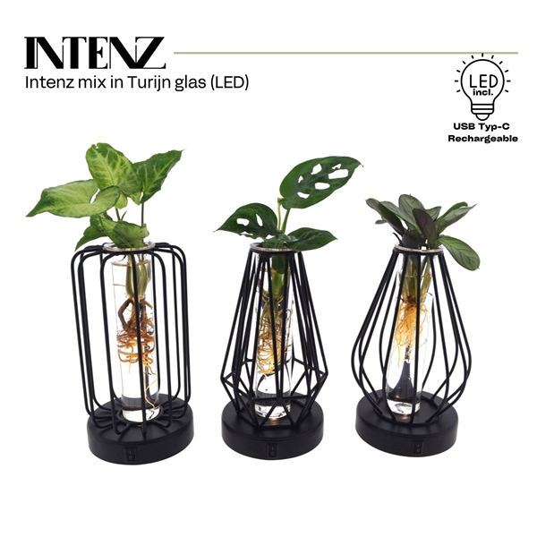 Mix in Turijn glas + led